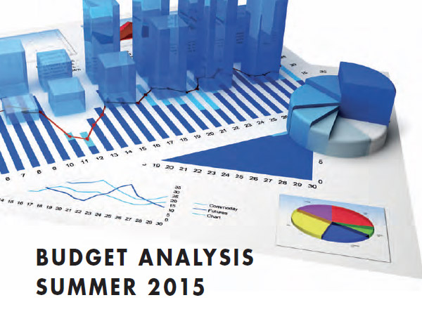 Summer Budget Analysis 2015