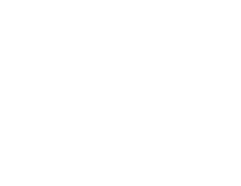 Strategic/Financial/Tax Planning